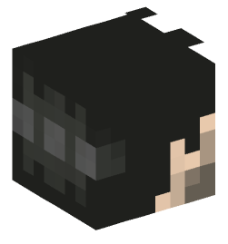 Minecraft head — People