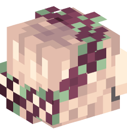 Minecraft head — People