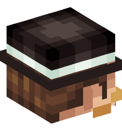 Minecraft head — People