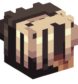 Minecraft head — People