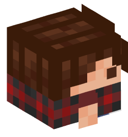 Minecraft head — Decor