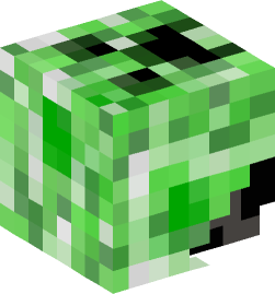 Minecraft head — People