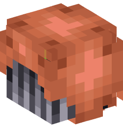 Minecraft head — Creatures