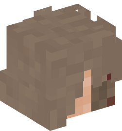 Minecraft head — People