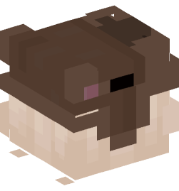 Minecraft head — People