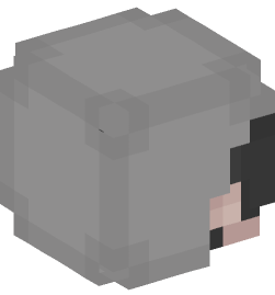 Minecraft head — People