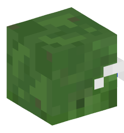 Minecraft head — Creatures