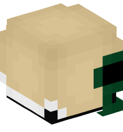 Minecraft head — People