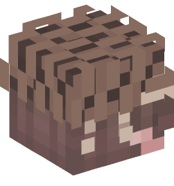 Minecraft head — People