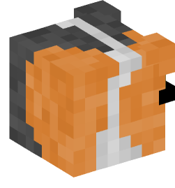 Minecraft head — People