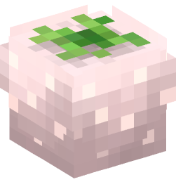 Minecraft head — Plants