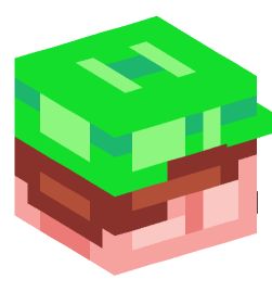 Minecraft head — People