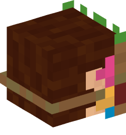 Minecraft head — People