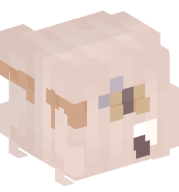 Minecraft head — People