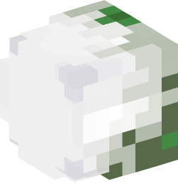 Minecraft head — Decor