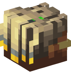 Minecraft head — People