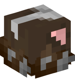 Minecraft head — Decor