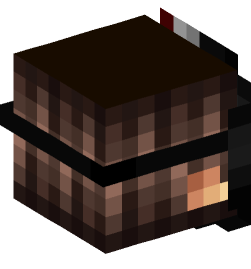 Minecraft head — People