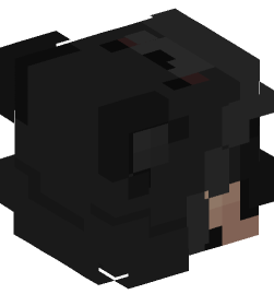 Minecraft head — People