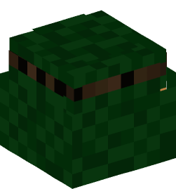 Minecraft head — People