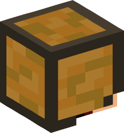 Minecraft head — People