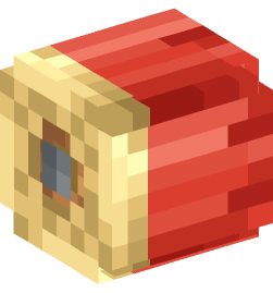 Minecraft head — Decor