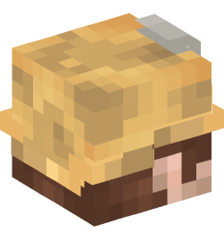 Minecraft head — People