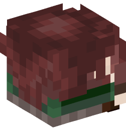 Minecraft head — Decor