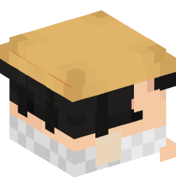 Minecraft head — People