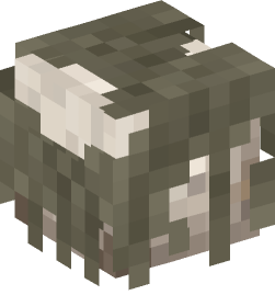 Minecraft head — Creatures