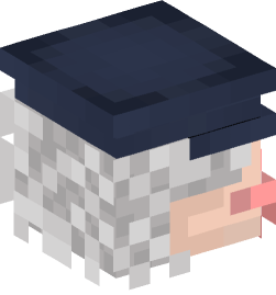 Minecraft head — People