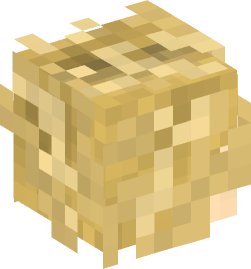 Minecraft head — People