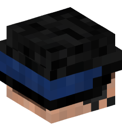 Minecraft head — People