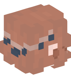 Minecraft head — People