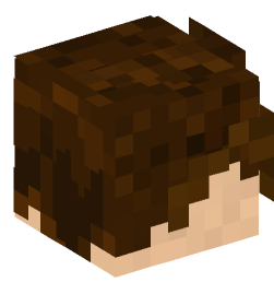 Minecraft head — People