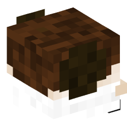 Minecraft head — Decor