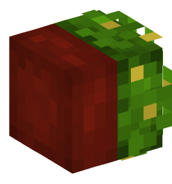 Minecraft head — Decor