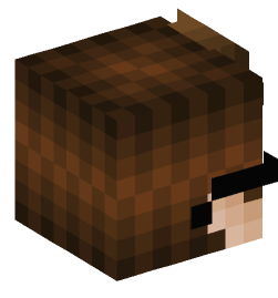 Minecraft head — People