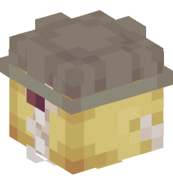 Minecraft head — People