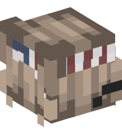 Minecraft head — People