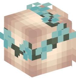 Minecraft head — People