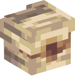 Minecraft head — People