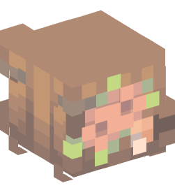 Minecraft head — People