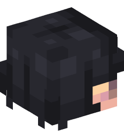 Minecraft head — People