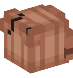 Minecraft head — People