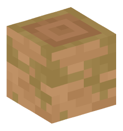 Minecraft head — Blocks