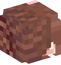 Minecraft head — People