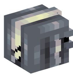 Minecraft head — People