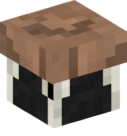 Minecraft head — Decor