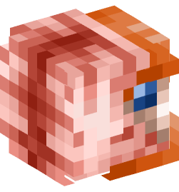 Minecraft head — Animals